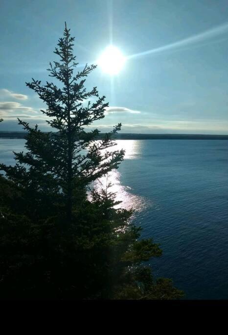 Family Friendly Cottage ☆Walking Distance To Beach Lions Head Eksteriør bilde