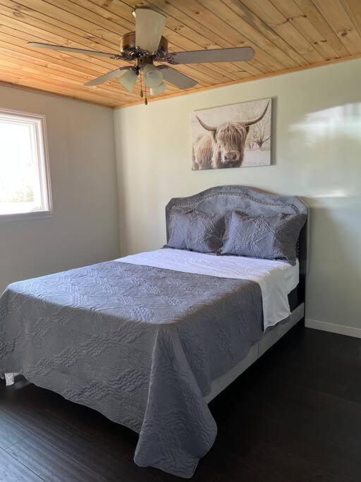 Family Friendly Cottage ☆Walking Distance To Beach Lions Head Eksteriør bilde